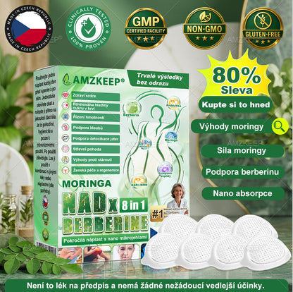 🎁 Novoroční dárek|𝐏𝐨𝐤𝐫𝐨č𝐢𝐥á 𝐧á𝐩𝐥𝐚𝐬ť 𝐬 𝐦𝐢𝐤𝐫𝐨𝐣𝐞𝐡𝐥𝐢č𝐤𝐚𝐦𝐢 𝐧𝐚𝐧𝐨𝐭𝐞𝐜𝐡𝐧𝐨𝐥𝐨𝐠𝐢𝐞 – 𝐬𝐭𝐚čí 𝐣𝐞𝐝𝐧𝐨𝐮 𝐝𝐞𝐧𝐧ě, 𝐯ý𝐬𝐥𝐞𝐝𝐤𝐲 𝐯𝐢𝐝𝐢𝐭𝐞𝐥𝐧é 𝐳𝐚 𝟕 𝐝𝐧í.